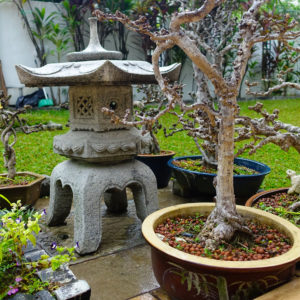 Pagoda
